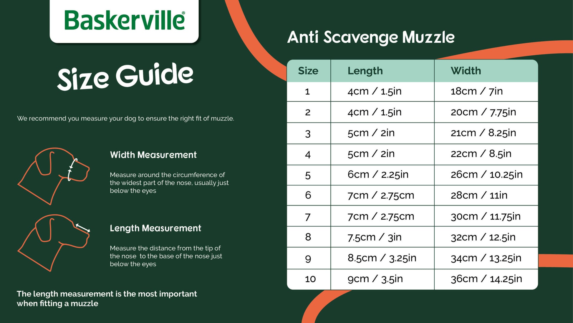 Baskerville Anti Scavenge Muzzle, Size 6