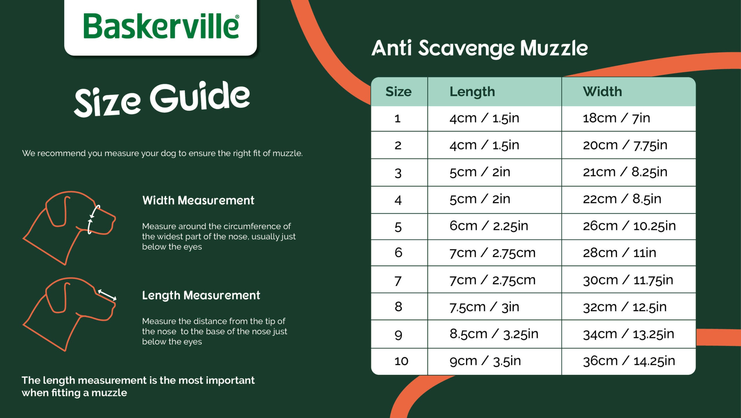 Baskerville Anti Scavenge Muzzle, Size 6