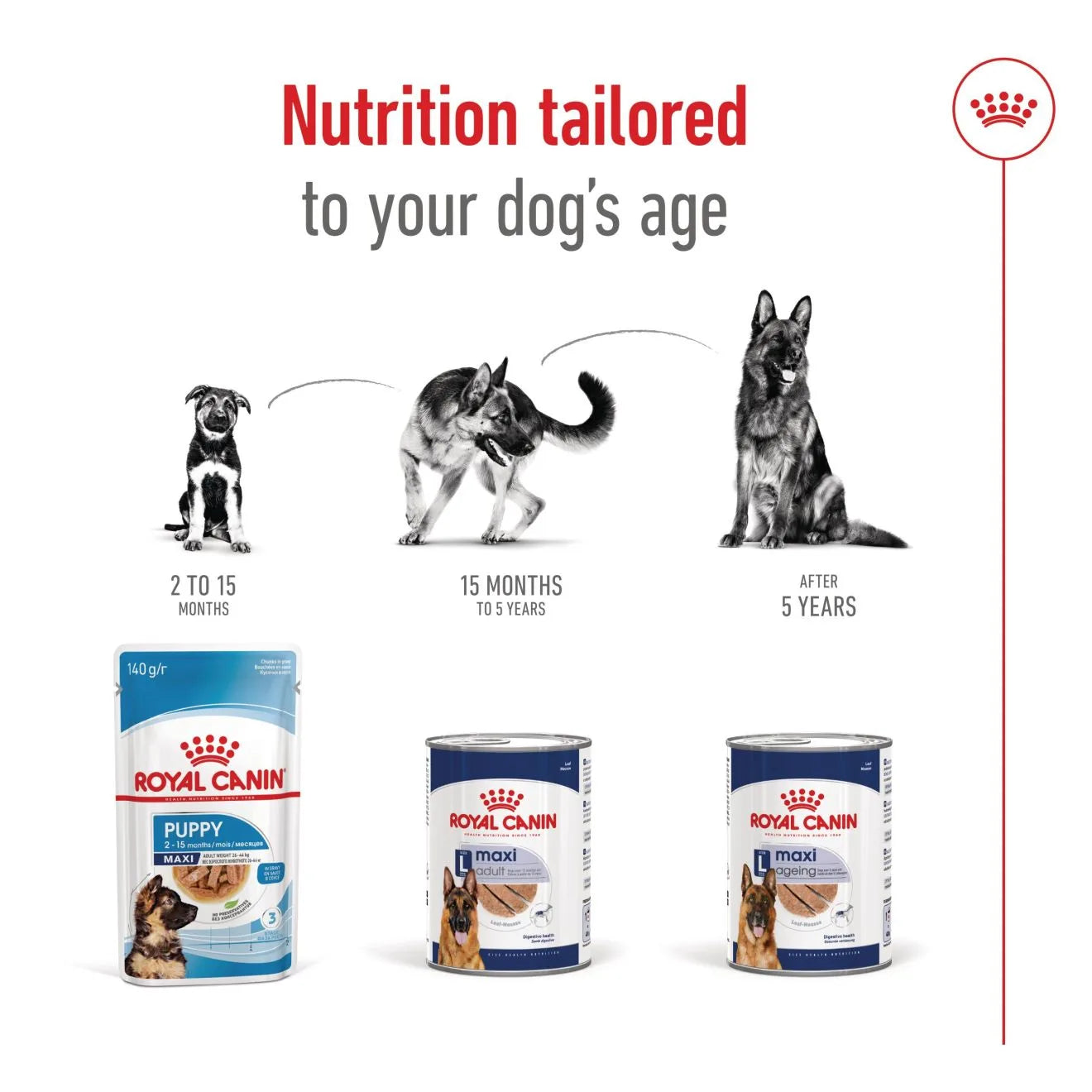 Royal Canin Wet Dog Food in Loaf for Large Breed Adult Dogs, 410g