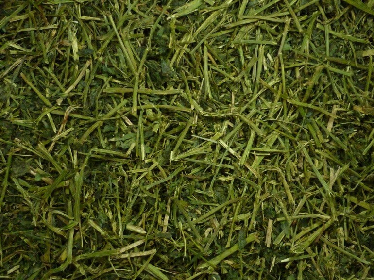 Friendly Alfalfa ReadiGrass, 1kg