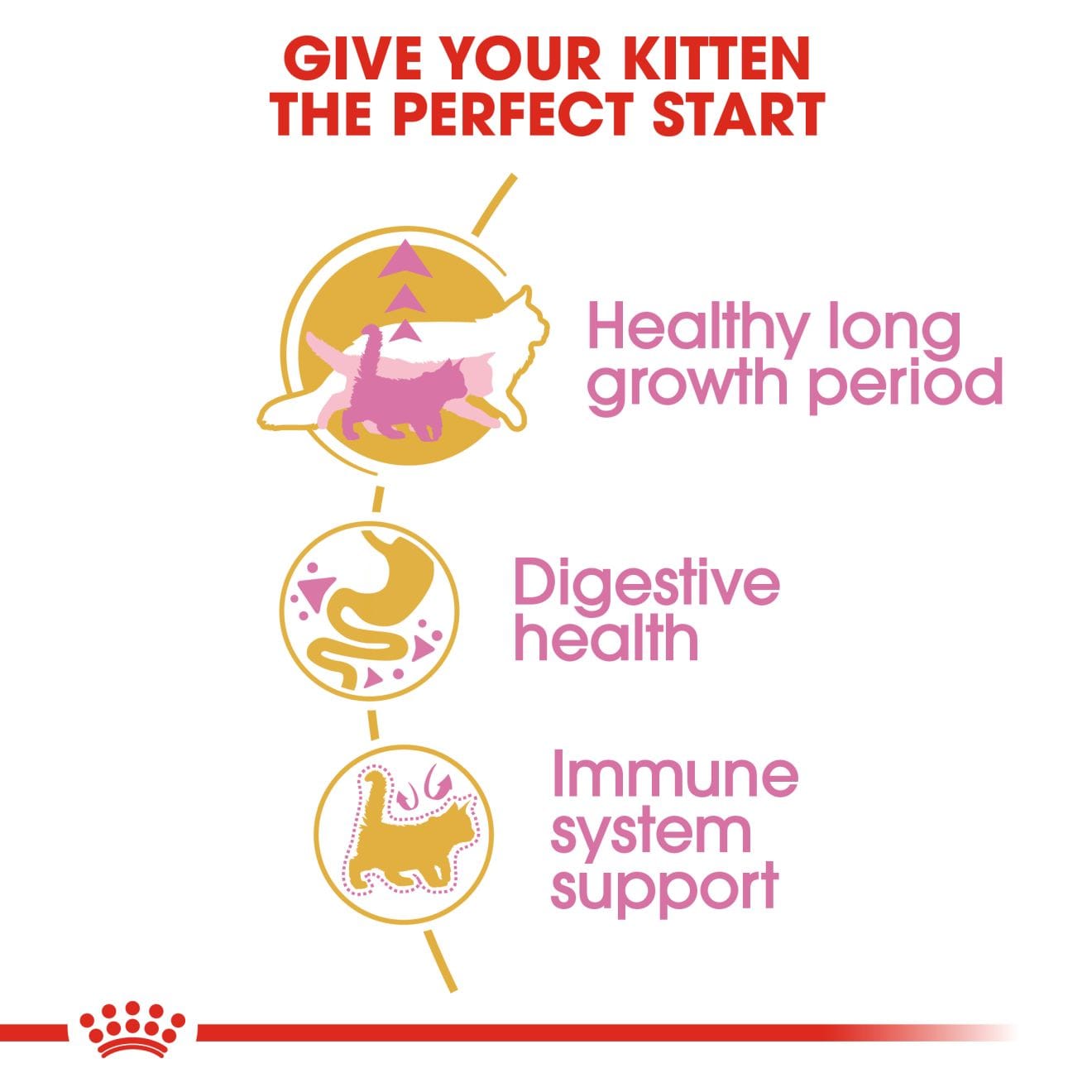 Royal Canin Dry Cat Food for Maine Coon Kittens, 2kg