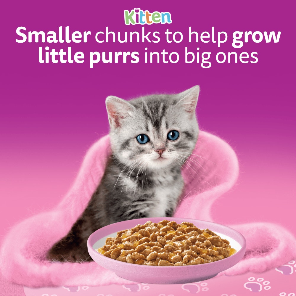Whiskas Poultry Feasts in Jelly Wet Cat Food for Kittens, 12 x 85g