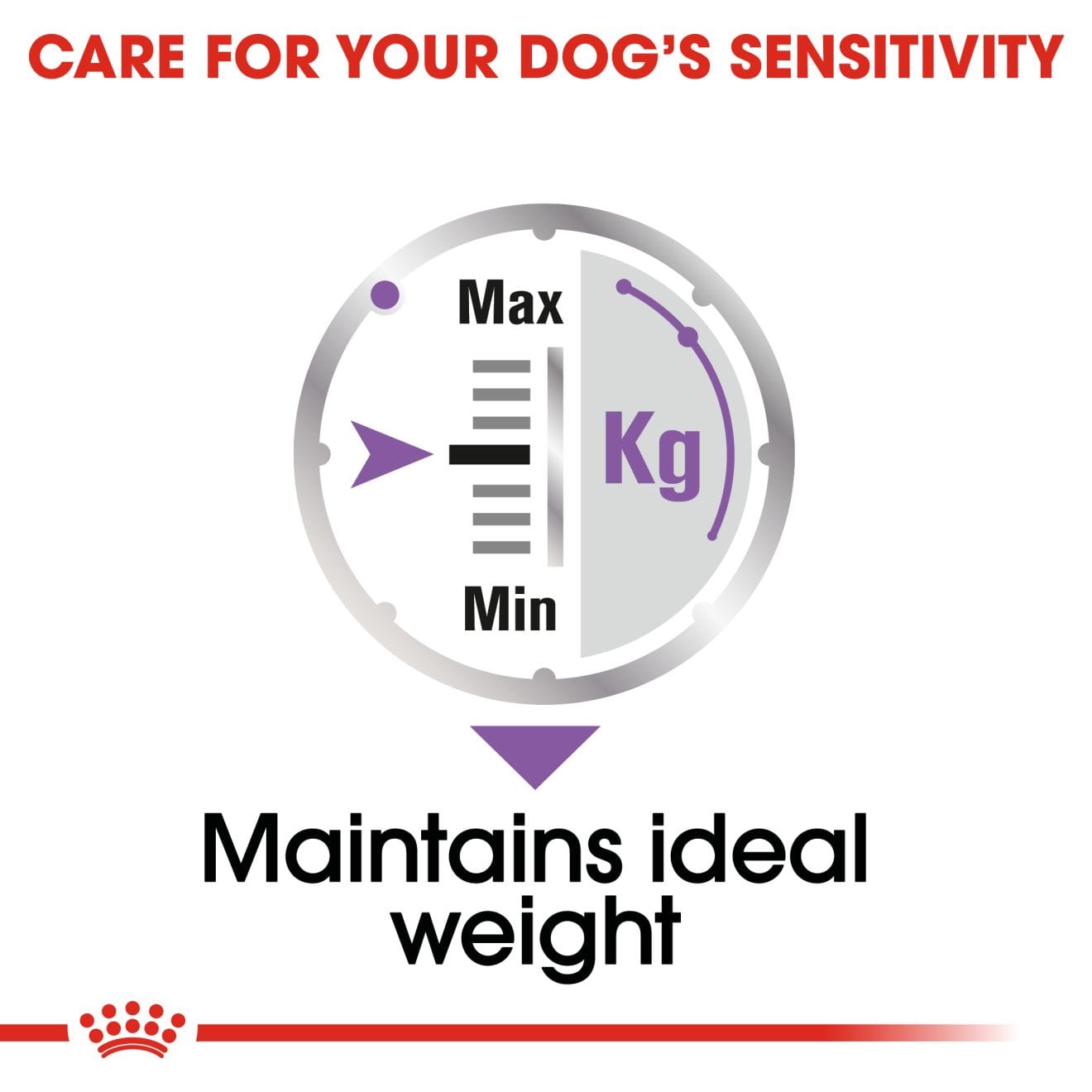 Royal Canin Sterilised Wet Dog Food Thin Slices In Gravy for Neutered Adult Dogs, 85g