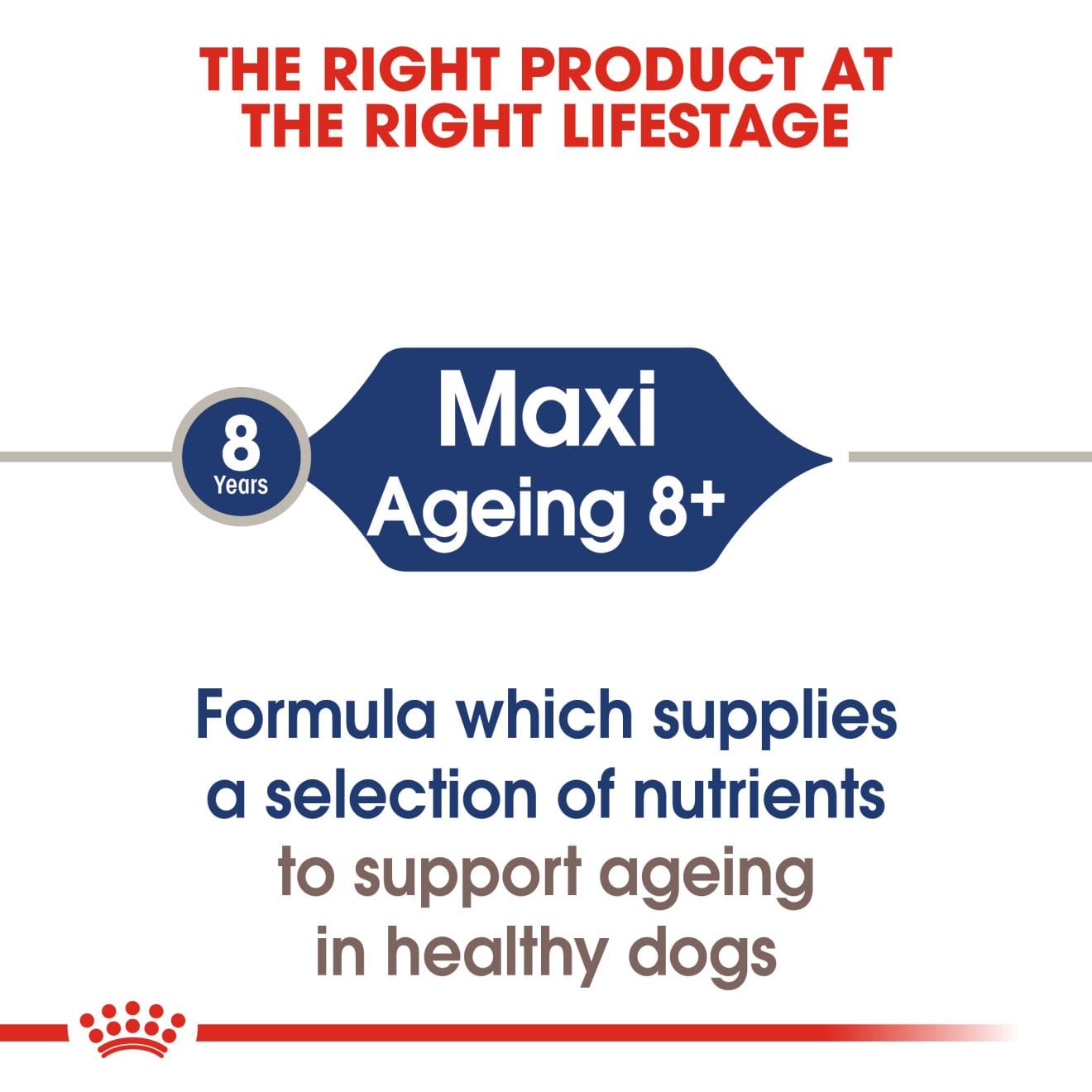 Royal Canin Ageing 8+ Wet Dog Food Chunks In Gravy for Large Breed Senior Dogs, 140g