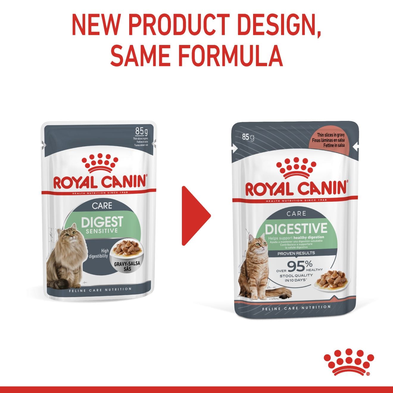 Royal Canin Digestive Care Wet Cat Food Thin Slices In Gravy for Adult Cats, 85g