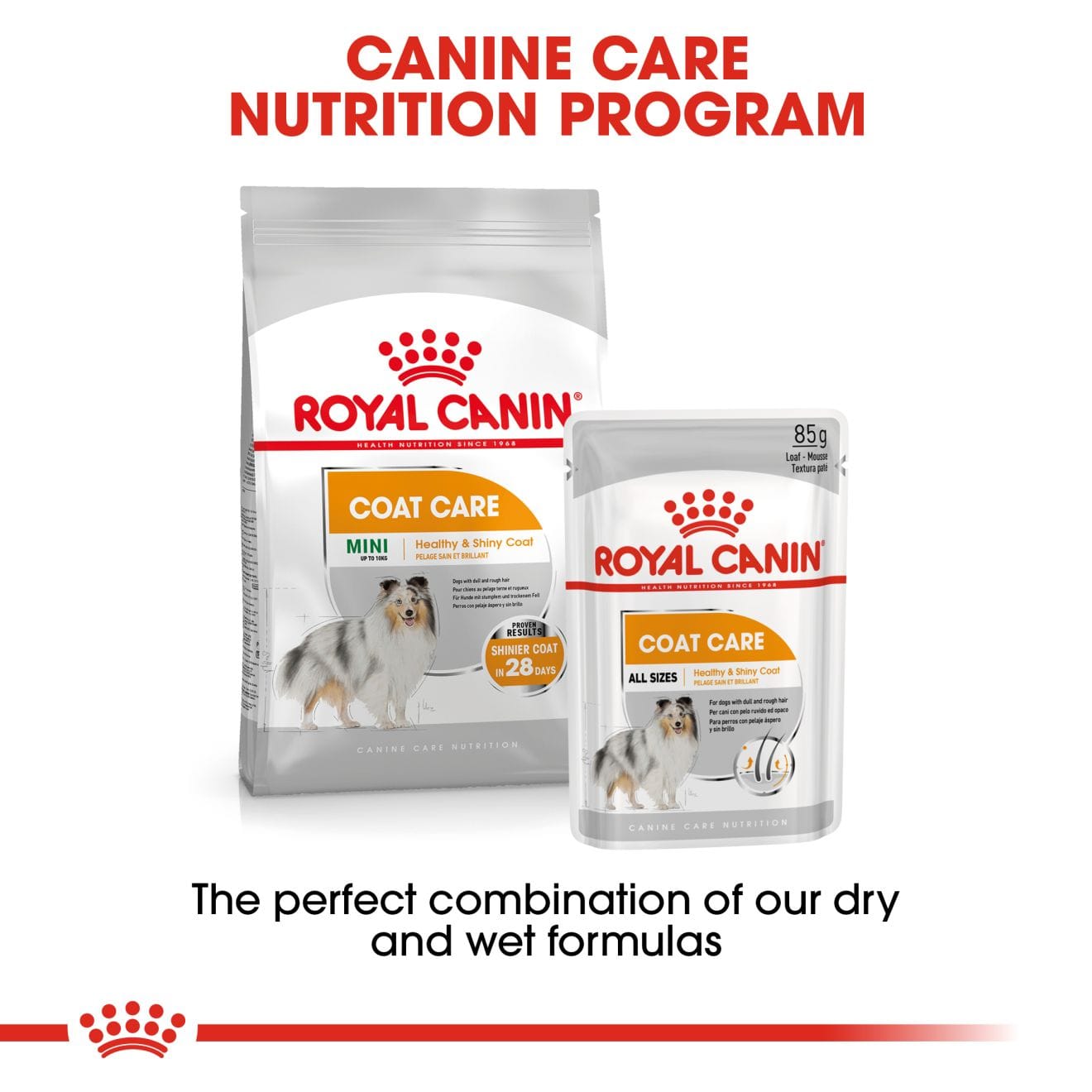 Royal Canin Coat Care Wet Dog Food Loaf in Sauce for Adult Dogs, 85g