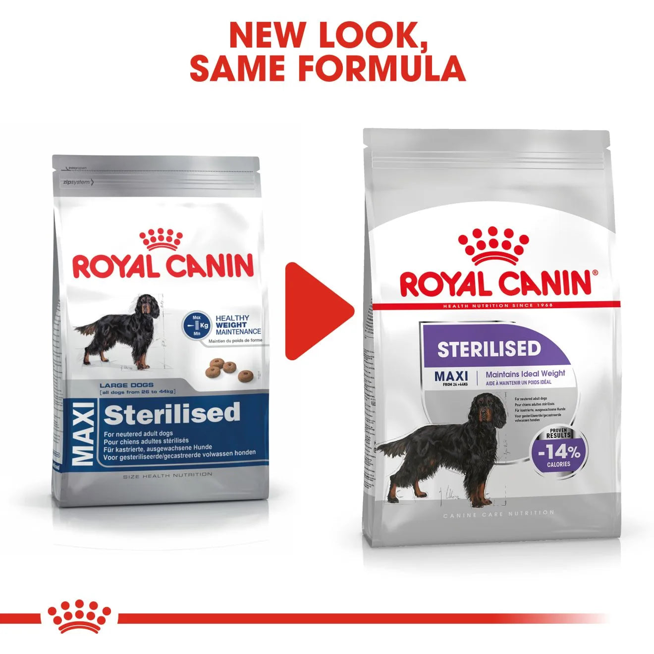 Royal Canin Sterilised Dry Dog Food for Large Breed Adult Dogs, 12kg