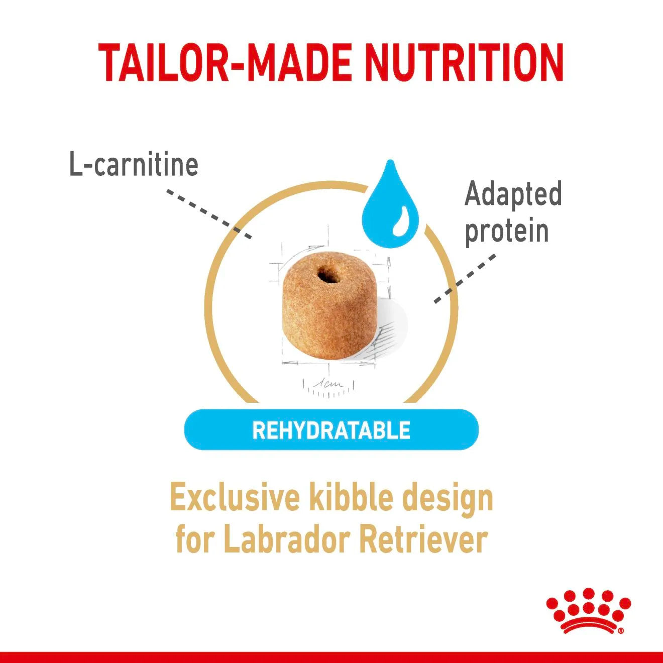 Royal Canin Dry Dog Food for 5+ Adult Labrador Retrievers, 12kg