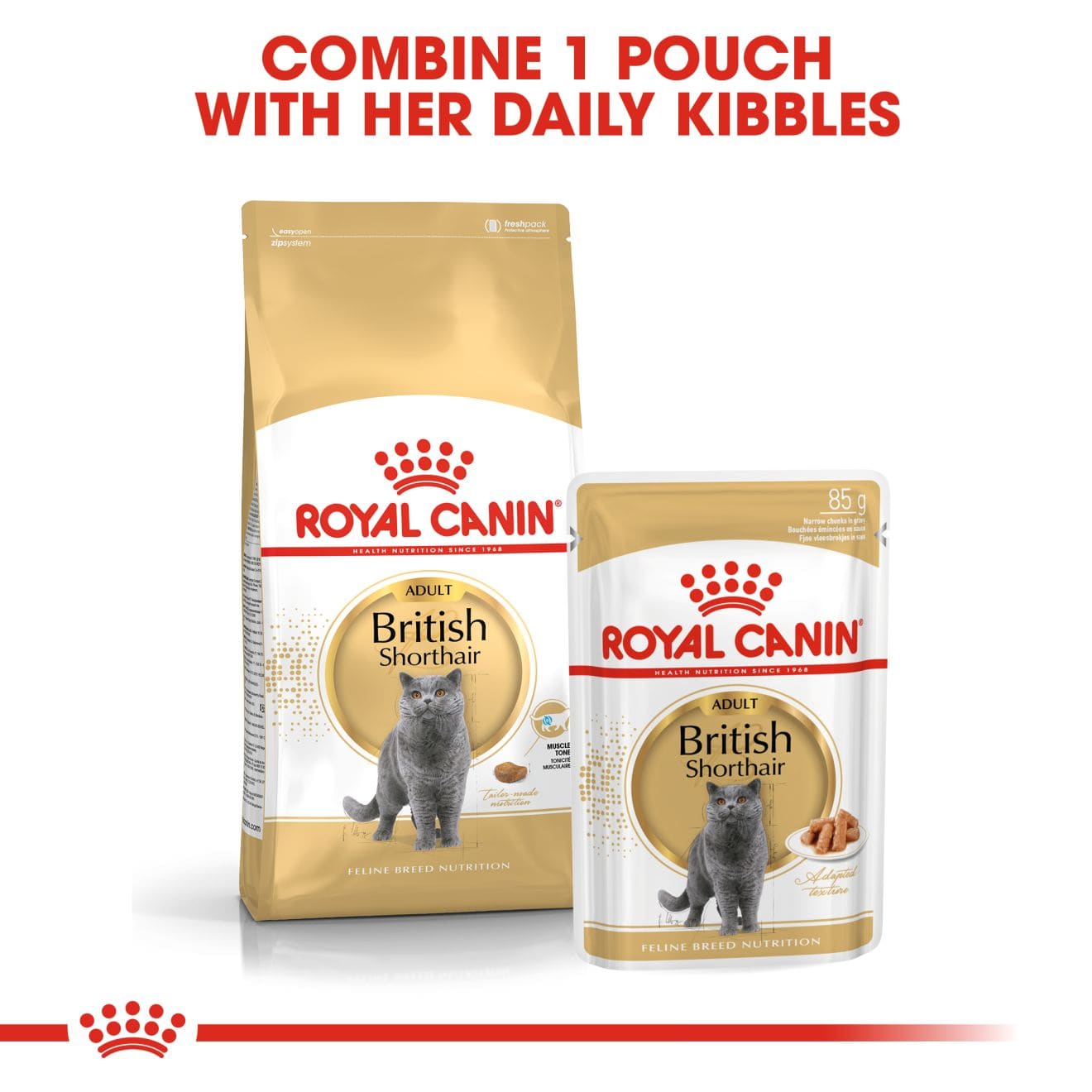 Royal Canin Wet Cat Food Chunks In Gravy for Adult British Shorthair Cats, 85g