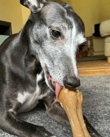 Whimzees Ricebone Dog Natural Dental Sticks Dog Treats for Medium/Large Breed Dogs, 50 Box