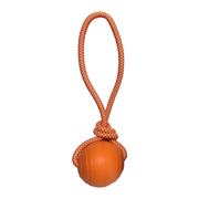 Hem & Boo Floating Ball with Rope Dog Toy