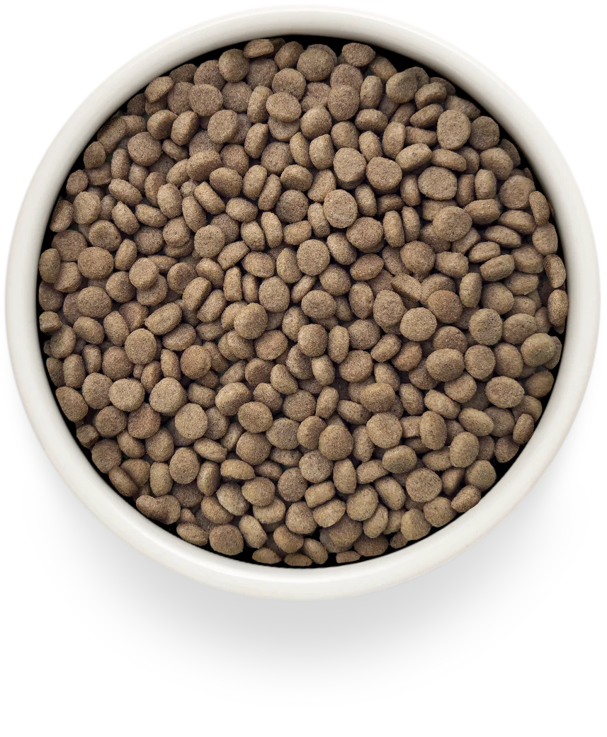 Grandorf Vet Turkey Urinary S/O Dry Cat Food for Adult Cats