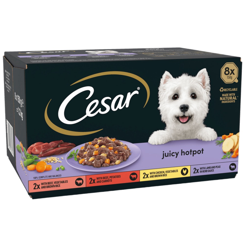 Cesar Juicy Hotpot Mixed in Gravy Wet Dog Food for Adult Dogs, 8 x 150g
