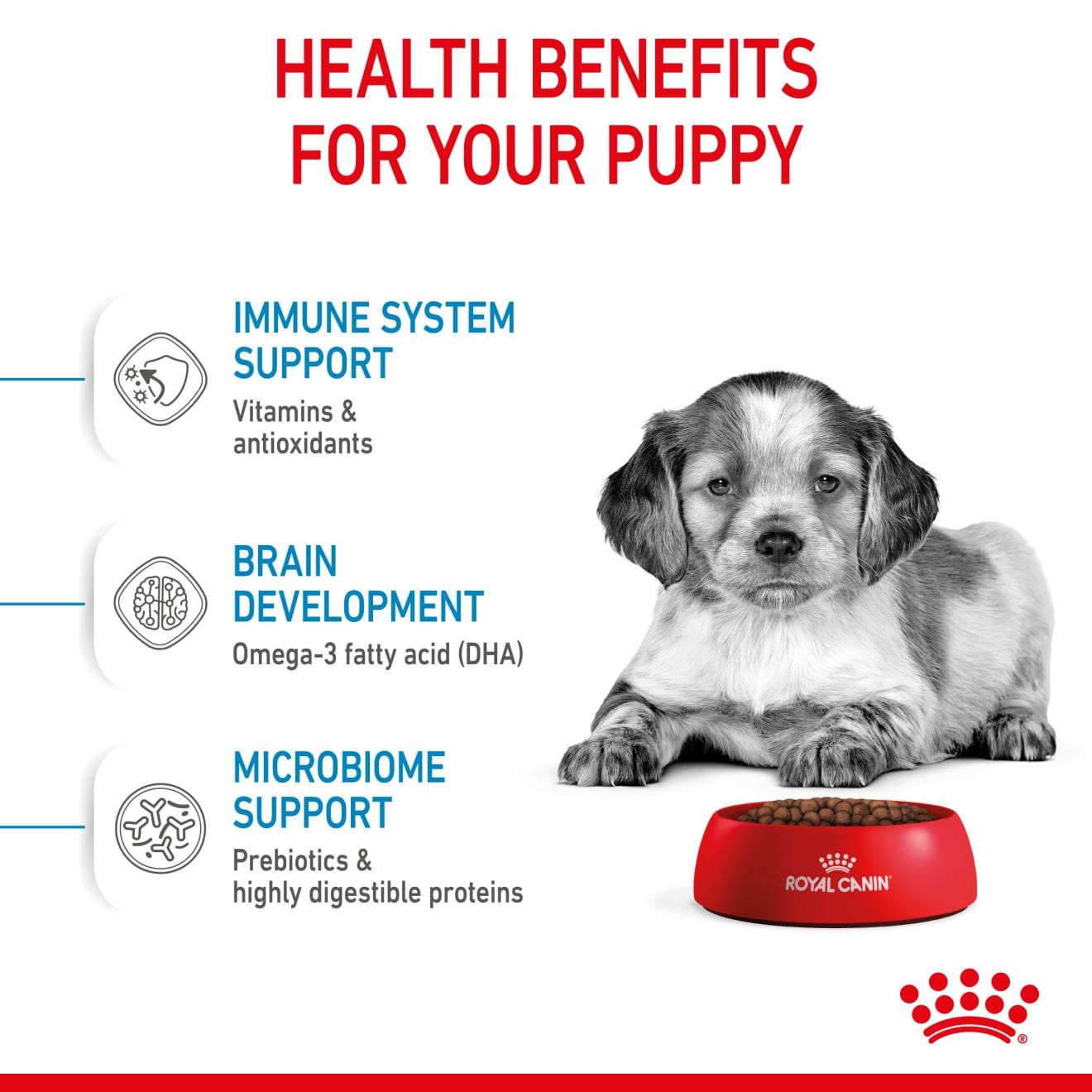 Royal Canin Dry Dog Food for Medium Breed Puppies, 4kg