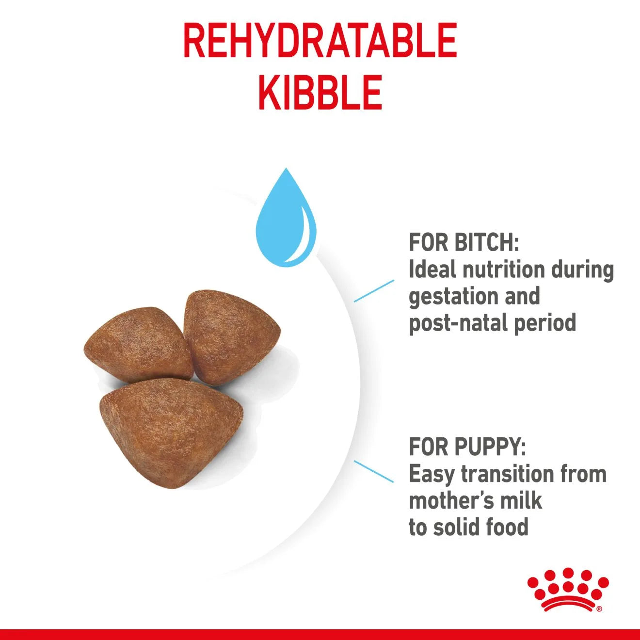 Royal Canin Starter Dry Dog Food for Small Breed Mother & Babydog