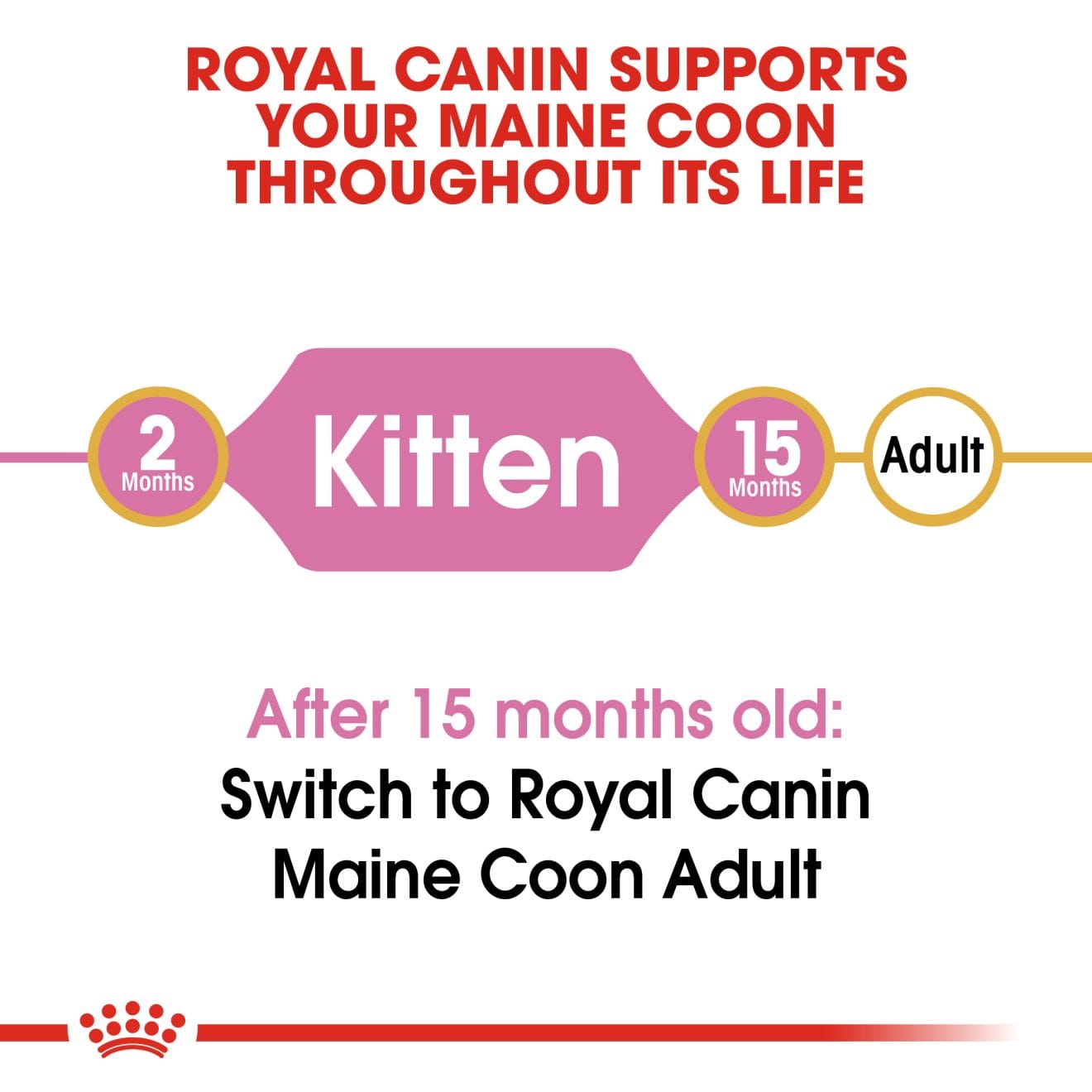 Royal Canin Dry Cat Food for Maine Coon Kittens, 2kg