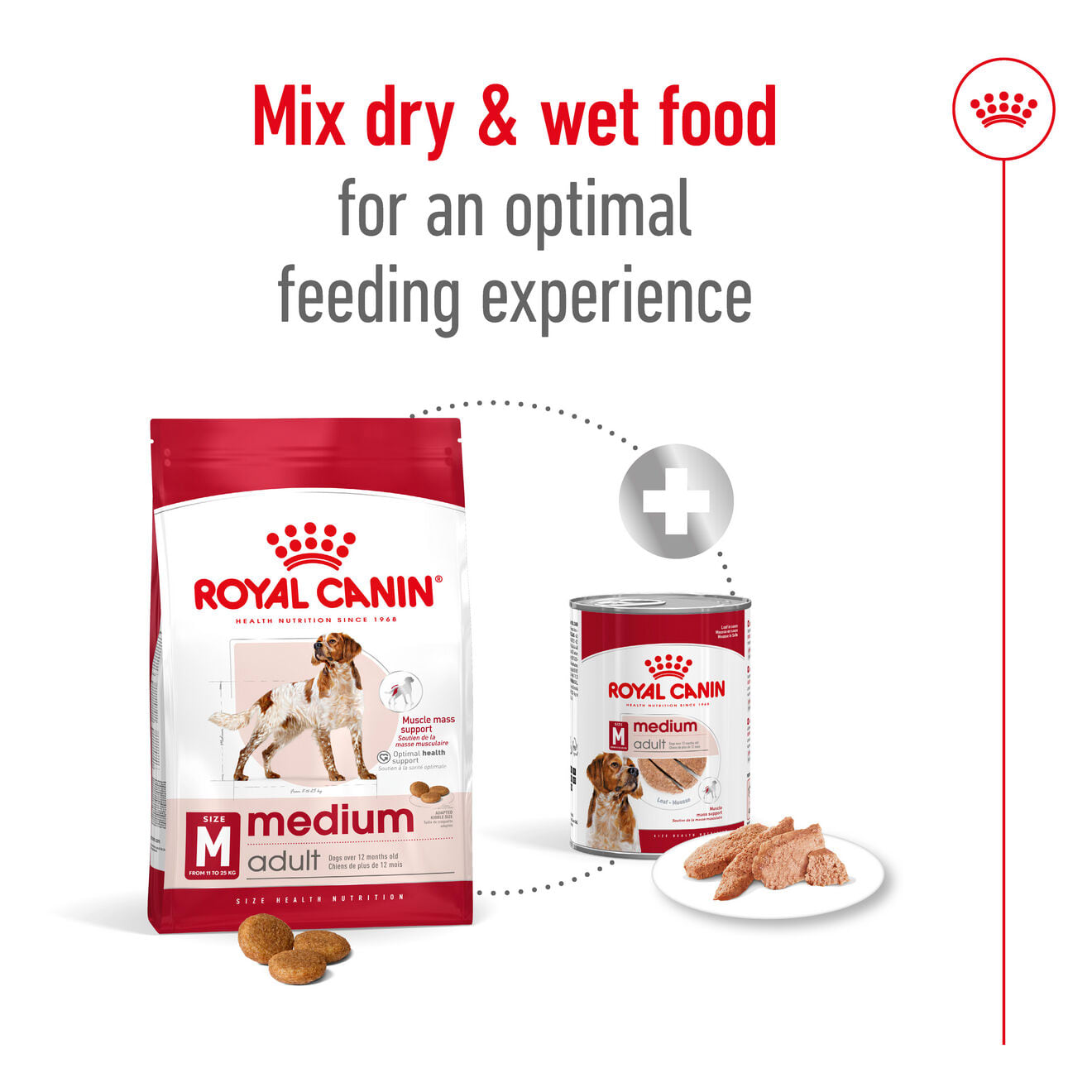 Royal Canin Dry Dog Food for Medium Breed Adult Dogs