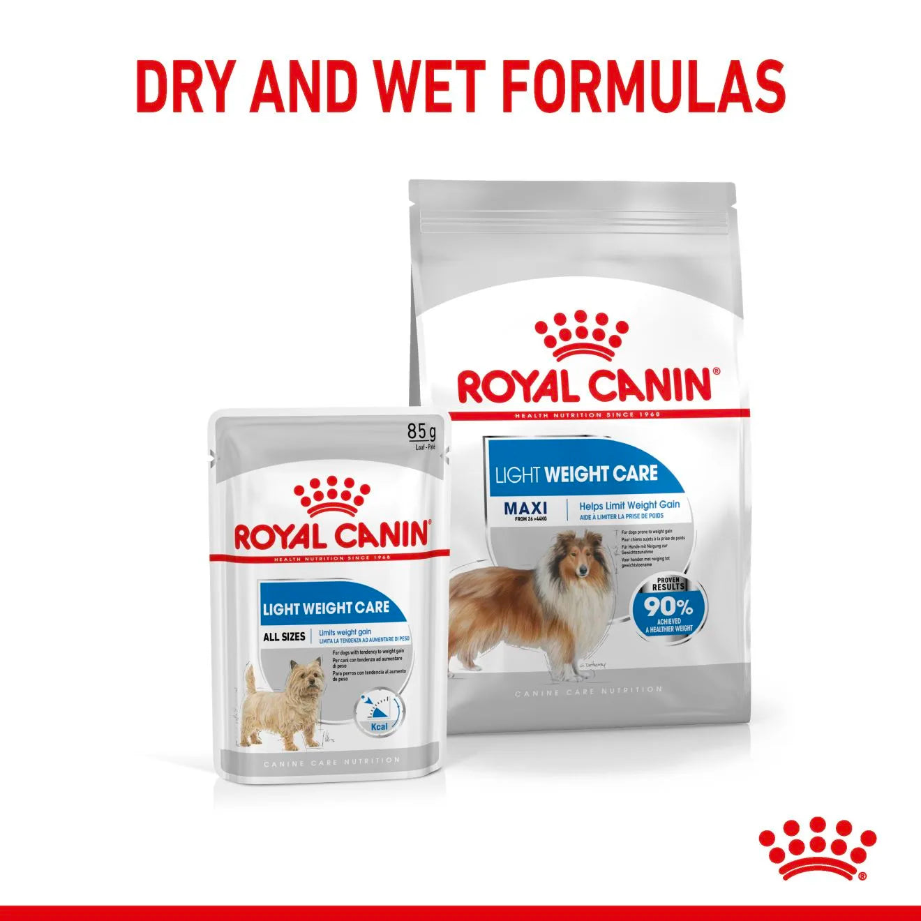 Royal Canin Light Weight Care Dry Dog Food for Large Breed Adult Dogs, 12kg