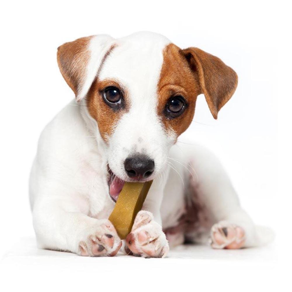 Yakers Himalayan Long-Lasting Dog Chew