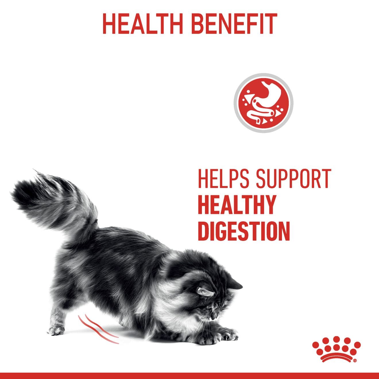 Royal Canin Digestive Care Wet Cat Food Thin Slices In Gravy for Adult Cats, 85g