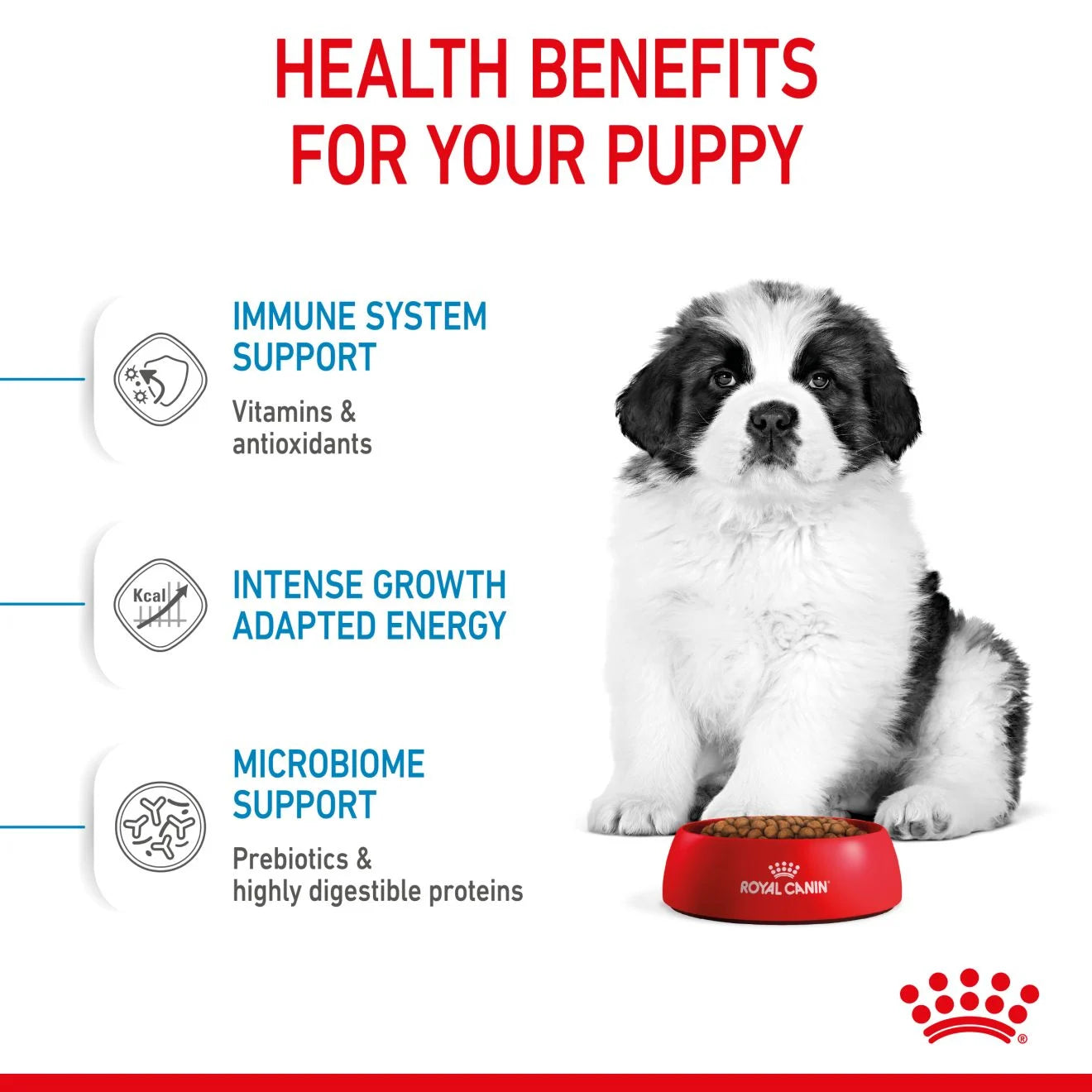 Royal Canin Dry Dog Food for Extra Large Breed Puppies, 15kg