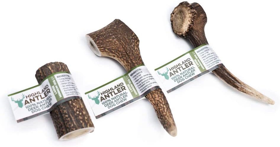 Deer Antler Dog Chew