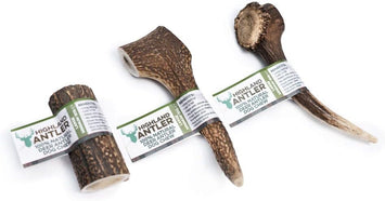 Deer Antler Dog Chew