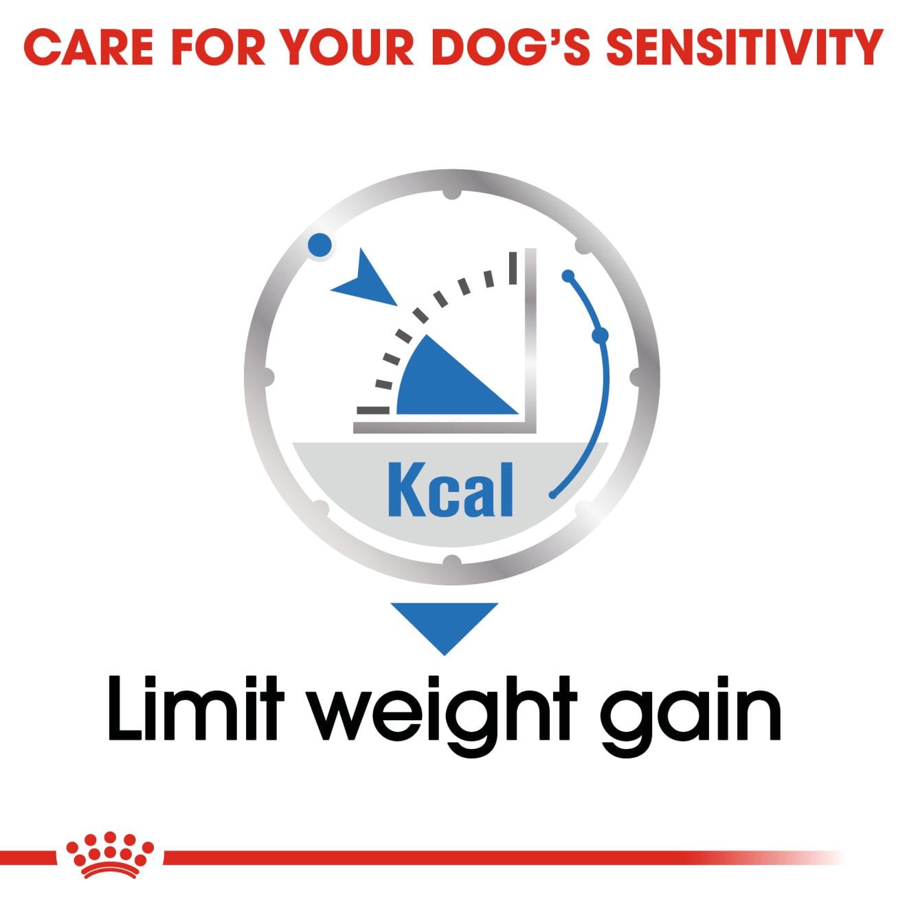 Royal Canin Light Weight Care Wet Dog Food Loaf In Sauce for Adult Dogs, 85g