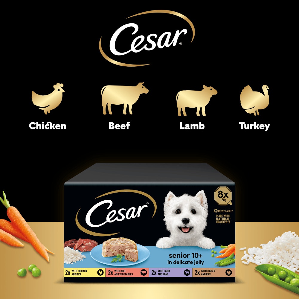 Cesar Meat in Delicate Jelly Wet Dog Food for Senior Dogs, 8 x 150g
