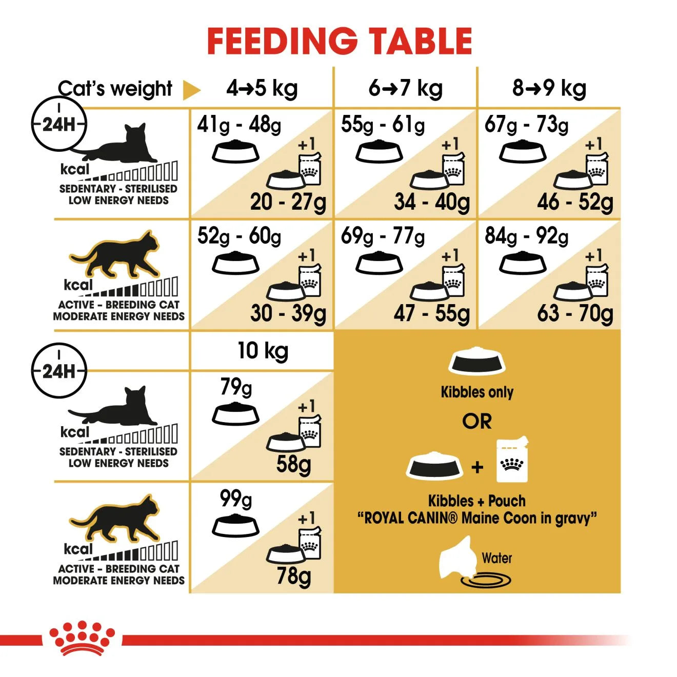Royal Canin Dry Cat Food for Adult Maine Coon Cats