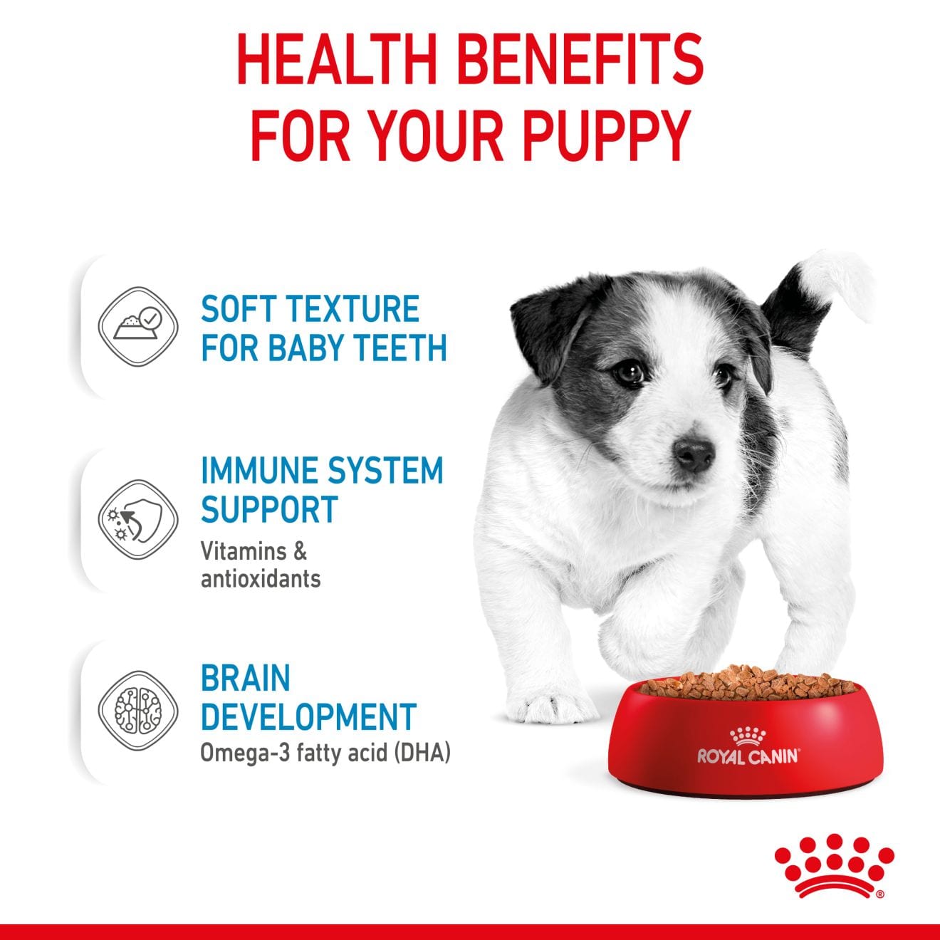 Royal Canin Wet Small Dog Food Chunks In Gravy for Small Breed Puppies, 85g