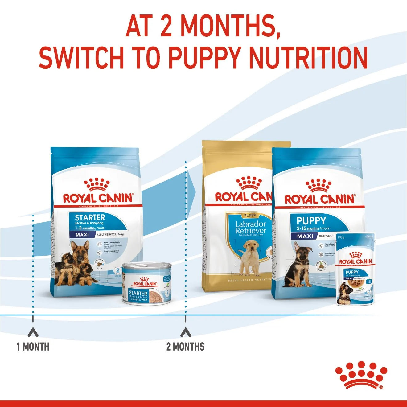 Royal Canin Starter Dry Dog Food for Large Breed Mother & Babydog