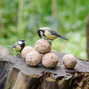 Hadley Fat Balls for Wild Birds - Tub of 50