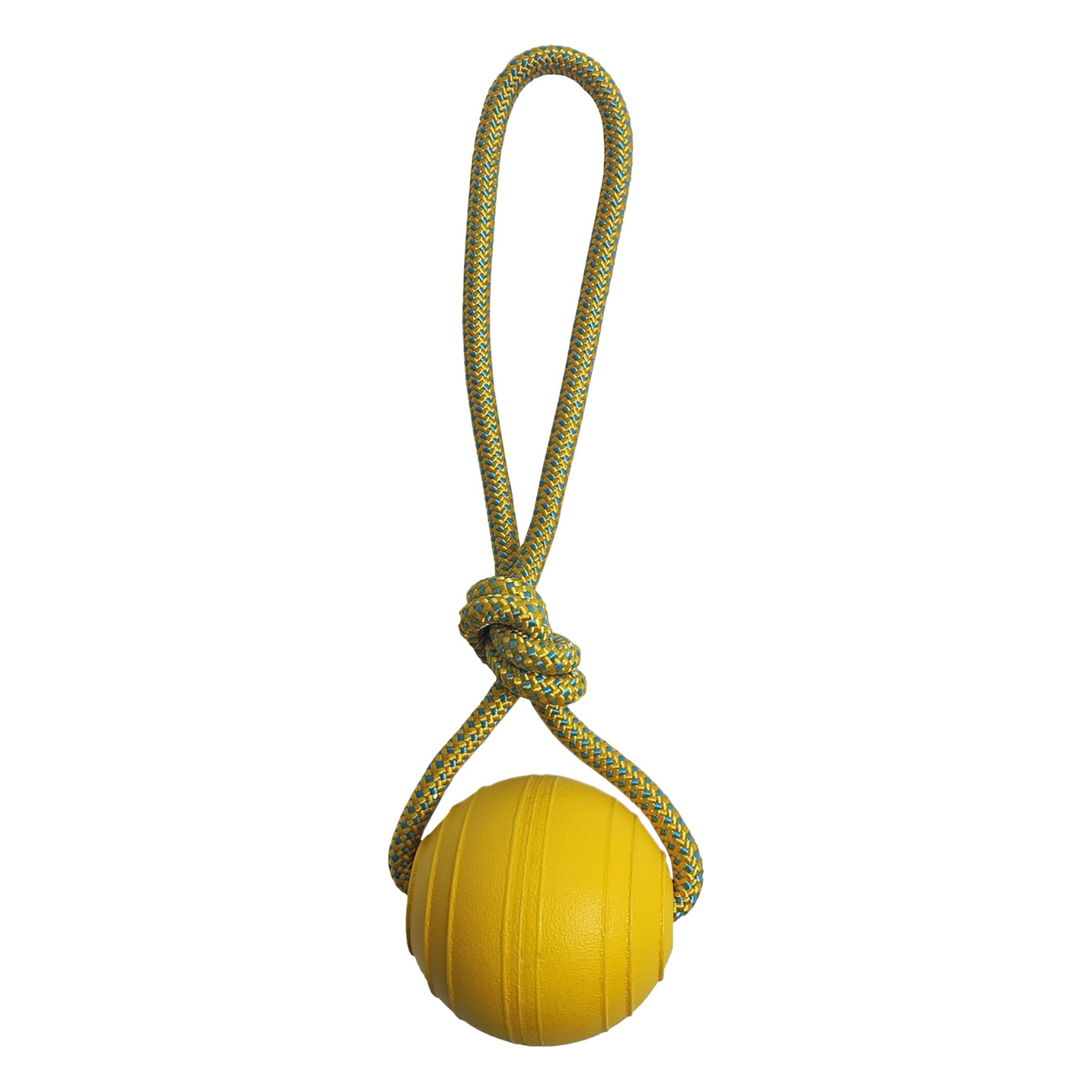 Hem & Boo Floating Ball with Rope Dog Toy