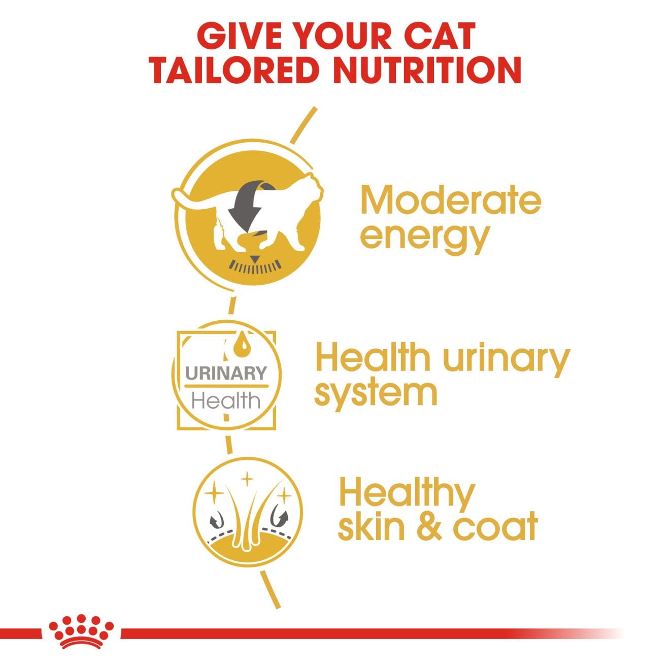 Royal Canin Wet Cat Food Chunks In Gravy for Adult British Shorthair Cats, 85g