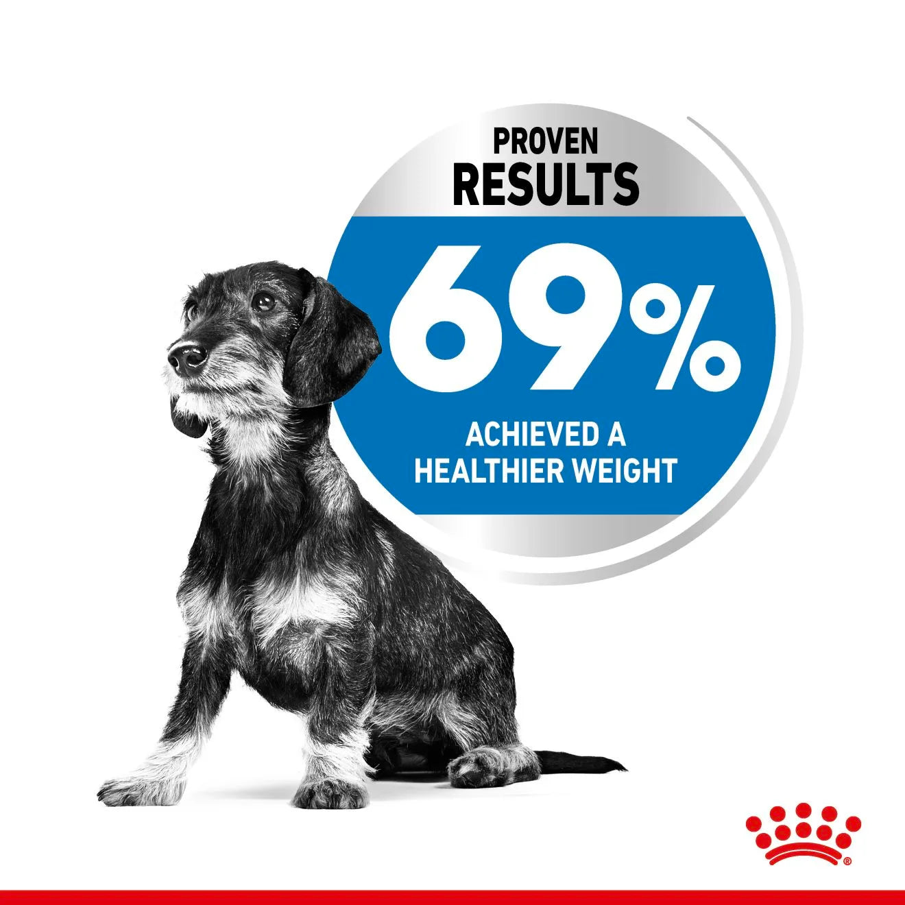 Royal Canin Light Weight Care Dry Dog Food for Extra-Small Breed Adult Dogs, 1.5kg