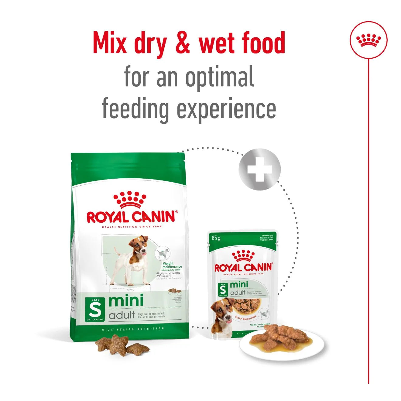 Royal Canin Dry Dog Food for Small Breed Adult Dogs
