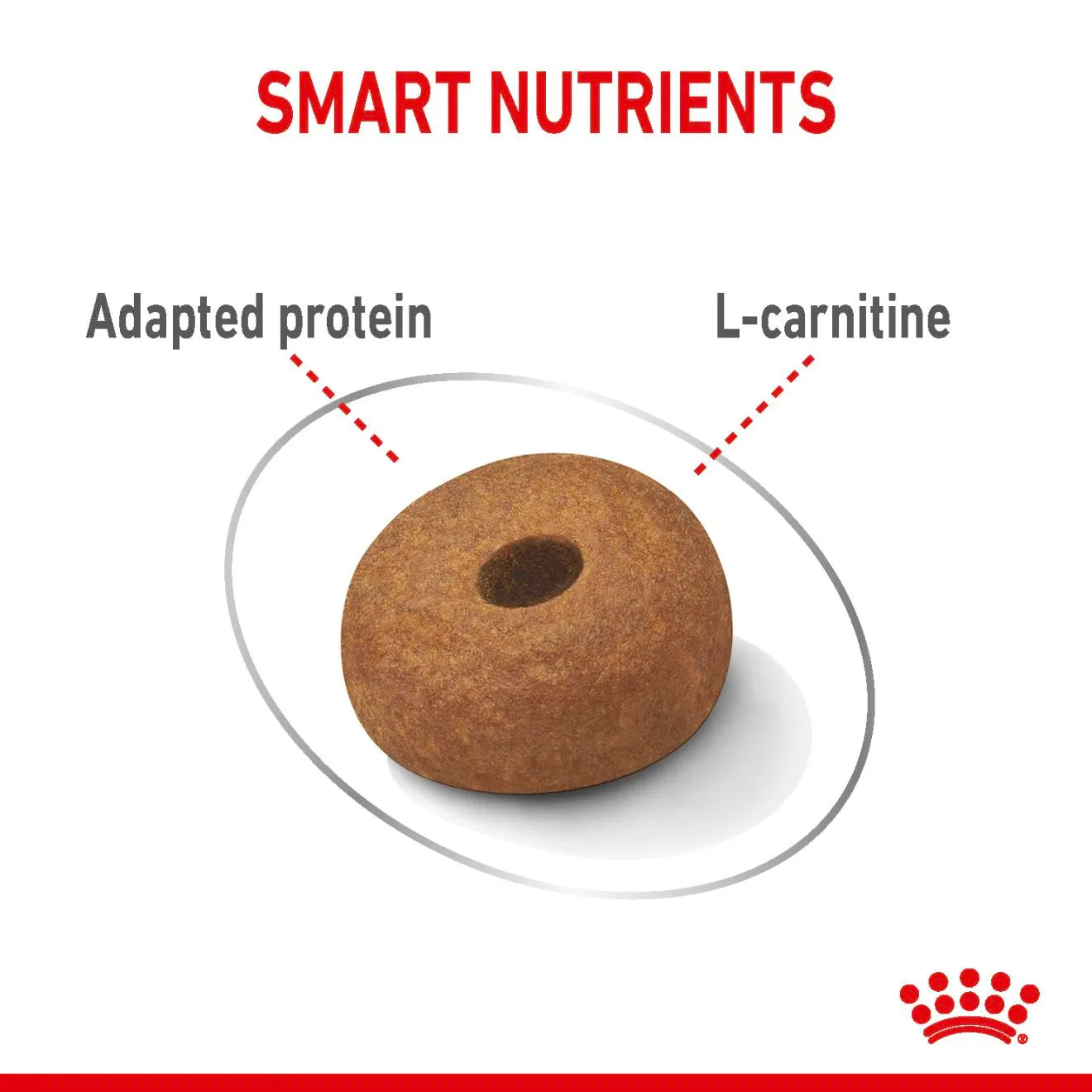 Royal Canin Light Weight Care Dry Dog Food for Large Breed Adult Dogs, 12kg