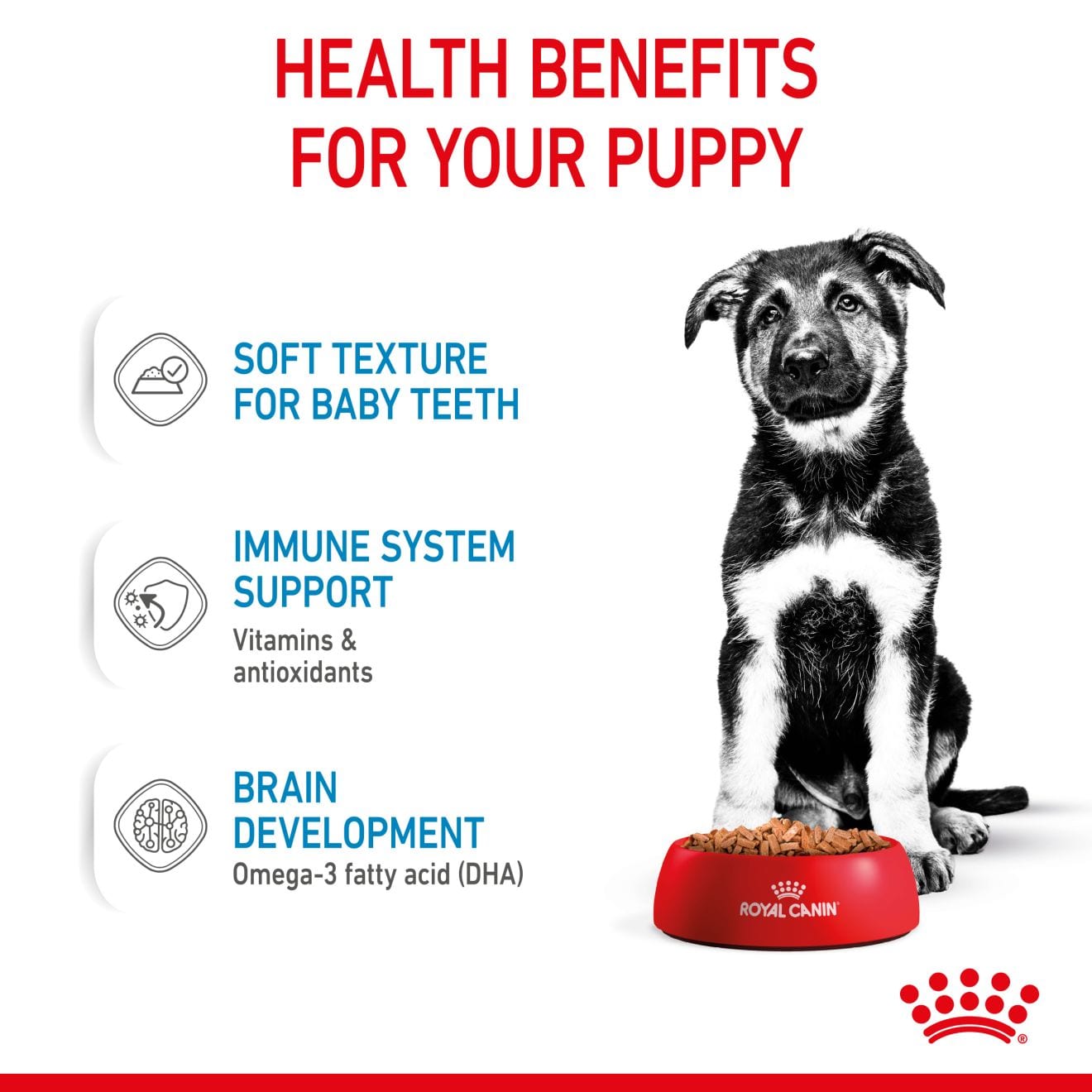 Royal Canin Wet Dog Food Chunks In Gravy for Large Breed Puppies, 140g